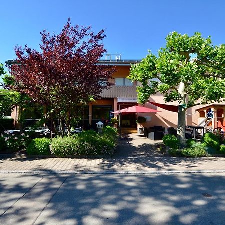 Hotel Hoellsteiner Hof Steinen  Exterior photo